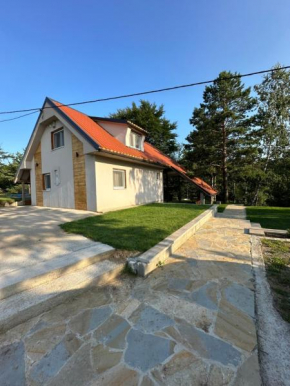 Forest House Divcibare